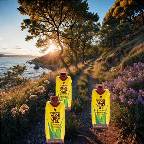 ALOE VERA GEL tre pak i miniformat - Guldvinder ved Nourish Awards 2023!